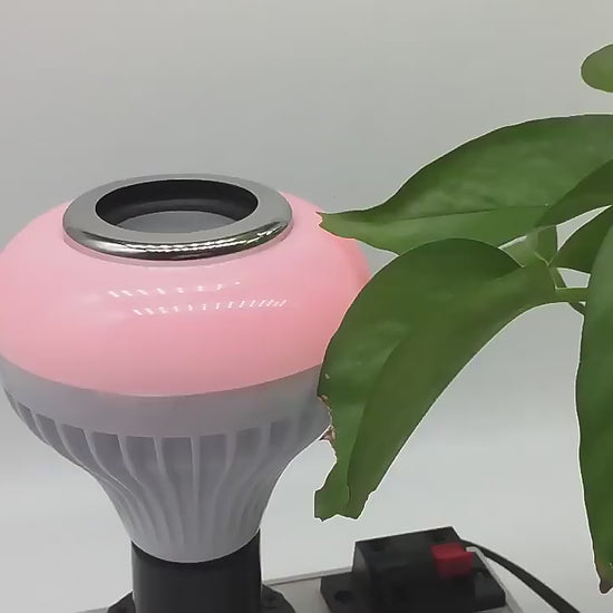 SIJALICA BLUETOOTH LAMPA SIJALICA BLUETOOTH LAMPA - RGB Zvučnik & Poklon KM 12.00 umjesto KM 20.00