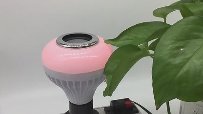 SIJALICA BLUETOOTH LAMPA SIJALICA BLUETOOTH LAMPA - RGB Zvučnik & Poklon KM 12.00 umjesto KM 20.00