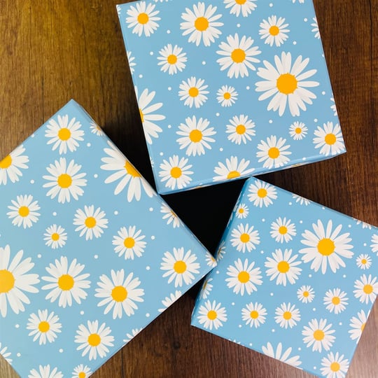 Daisy-patterned Kamilica Ukrasna Kutija idealna za pohranu i dekoraciju